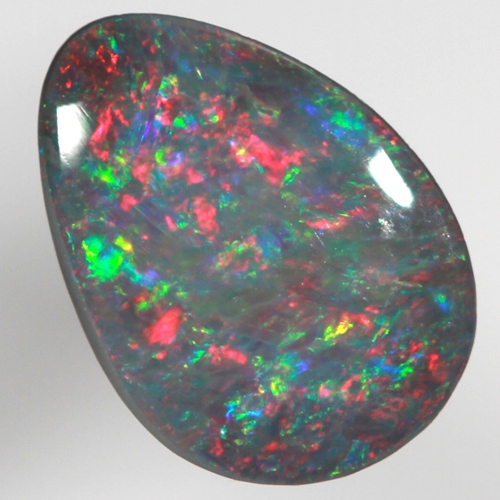 SOLID BLACK OPAL Red multicolour, Floral Harlequin pattern